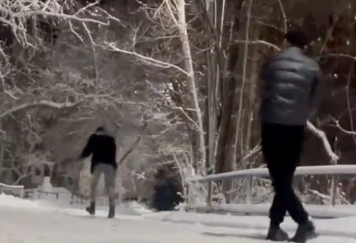 Фото: скриншот из видео