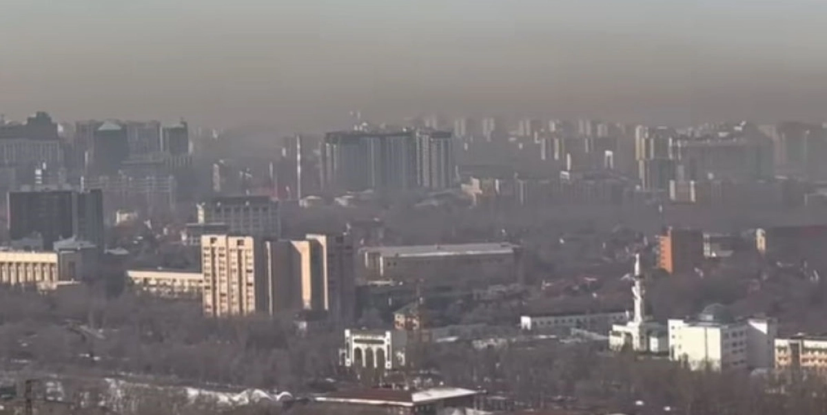 Фото: скриншот из видео