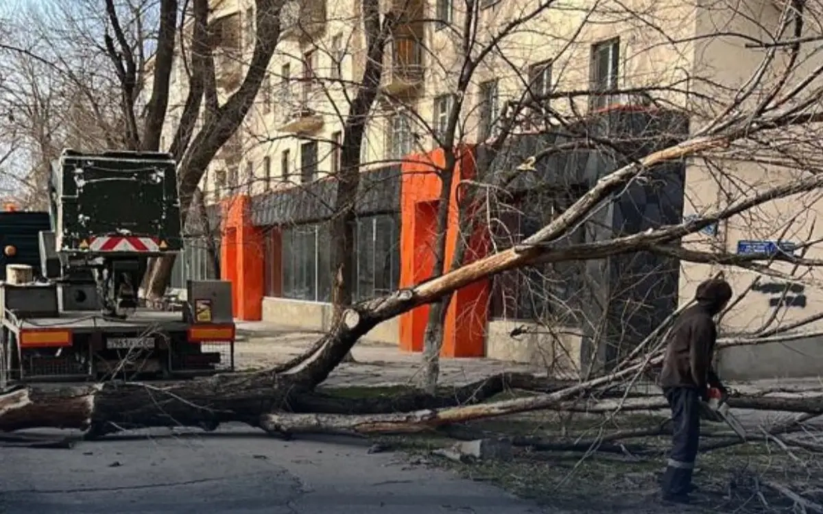 Фото: Галина Скрипник/Kazinform