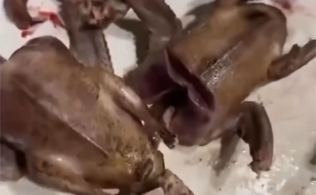 Фото: Instagram.com/@kokshetau_mir