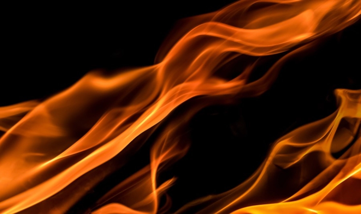 Фото: pixabay.com