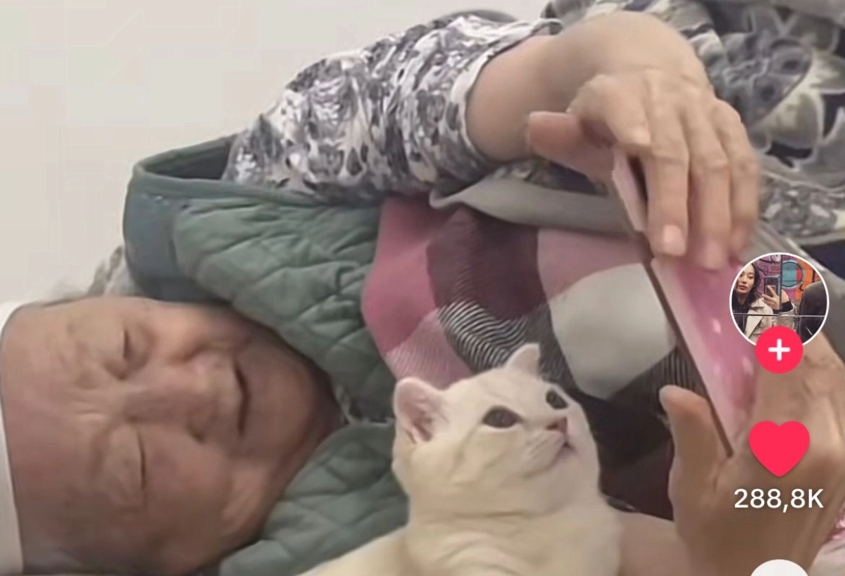 Фото: кадр из видео