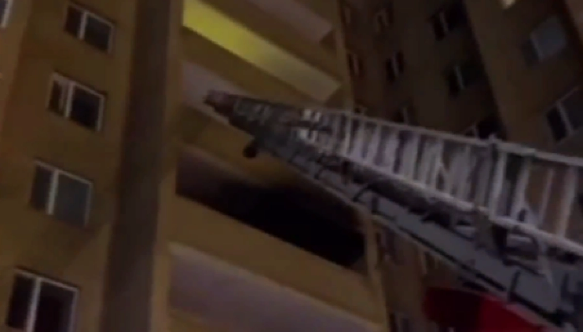 Фото: кадр из видео