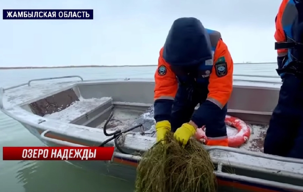 Фото: скриншот из видео