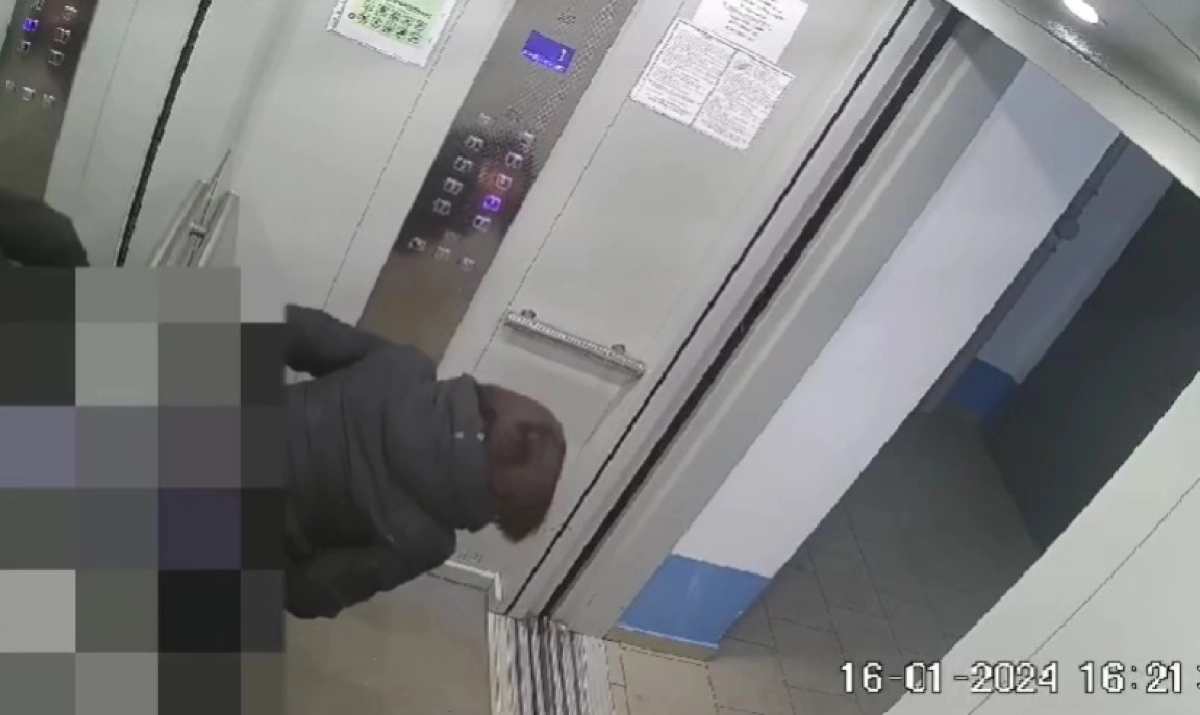 Фото: скриншот из видео