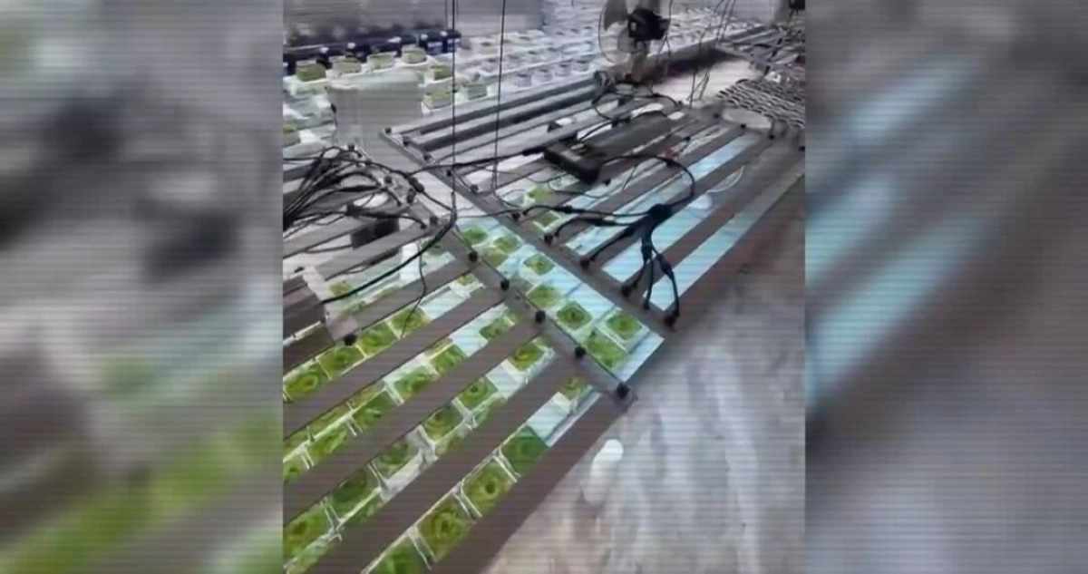 Фото: кадр из видео