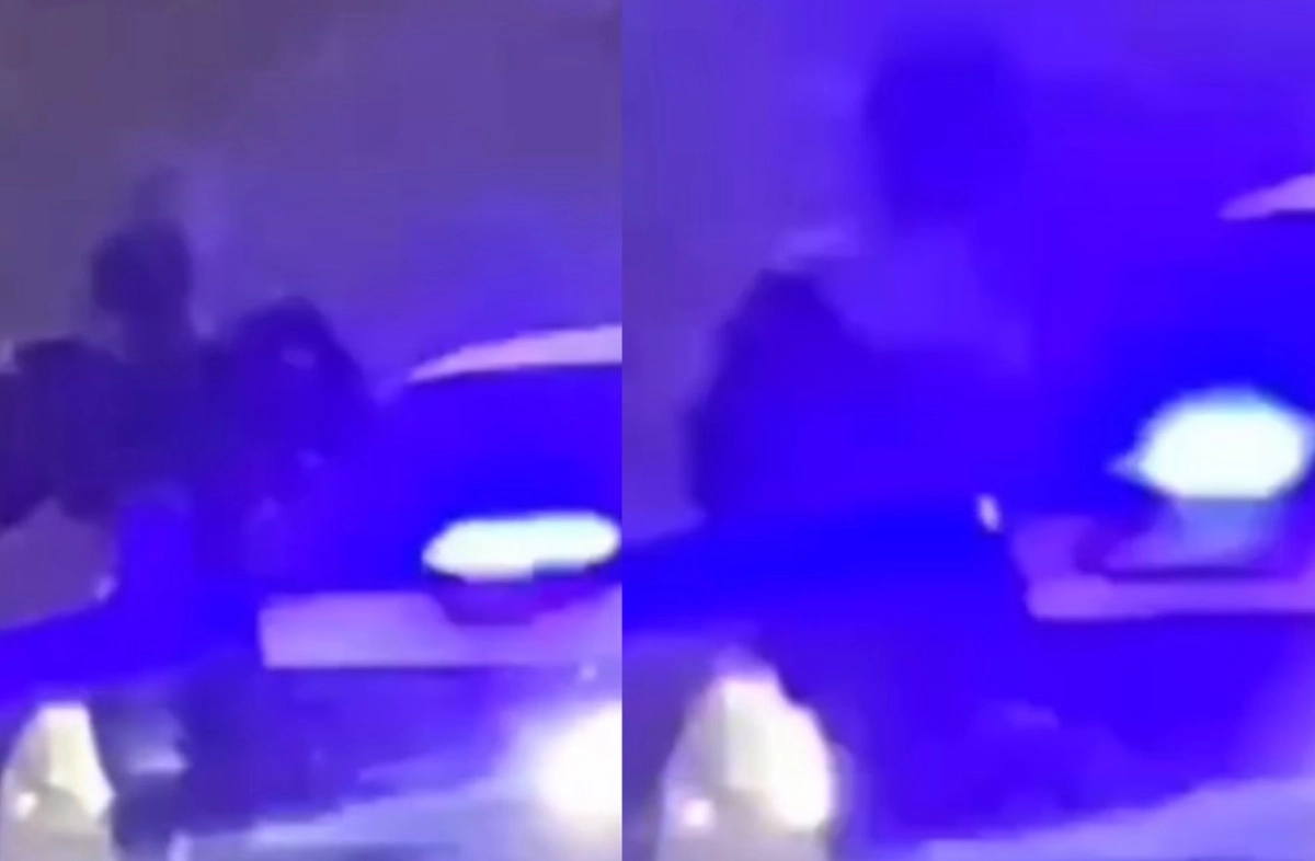 Фото: скриншот из видео