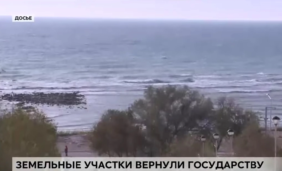 Фото: скриншот из видео