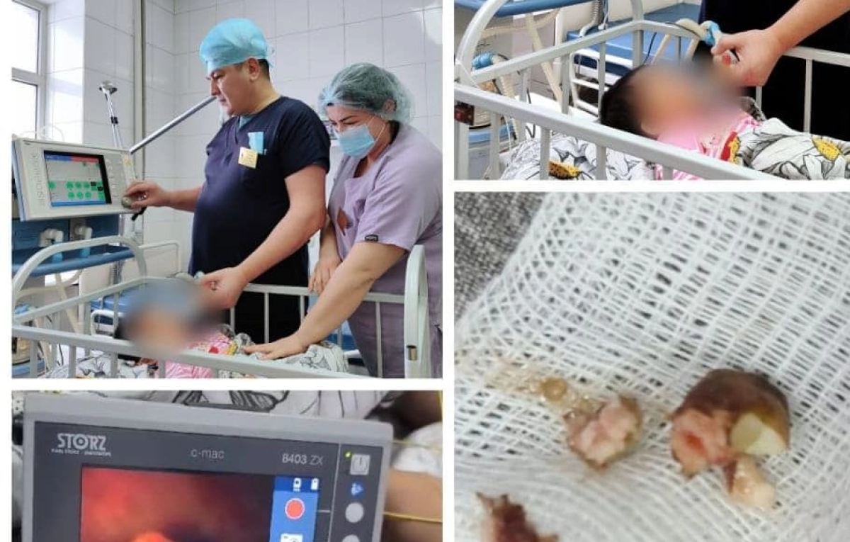 Фото: Отырар