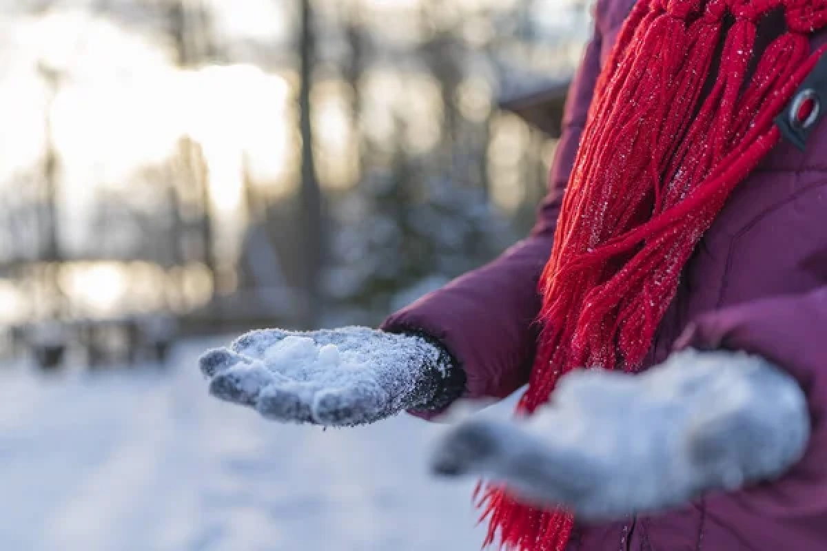 Фото: depositphotos.com