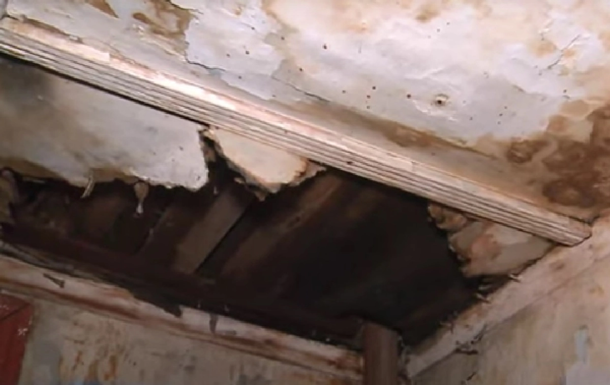 Фото: скриншот из видео