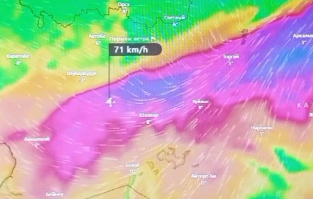 Фото: скриншот из видео