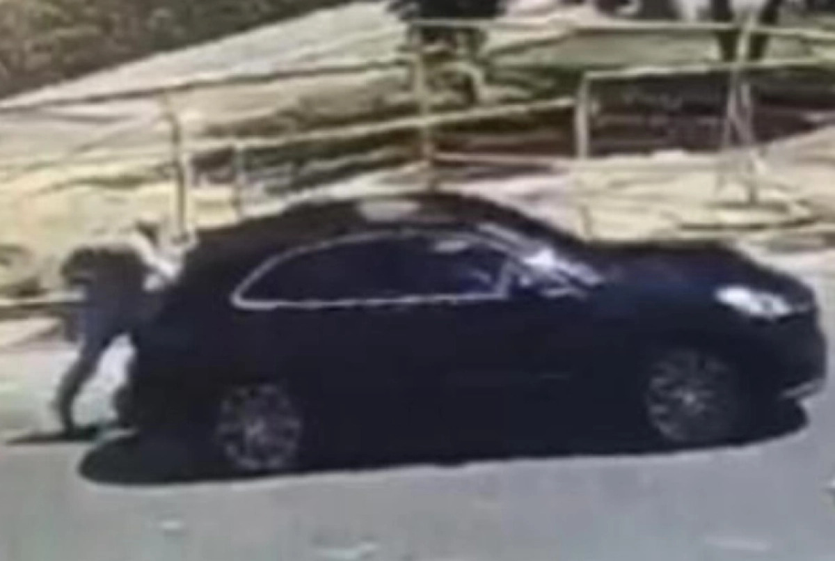 Фото: соцсети