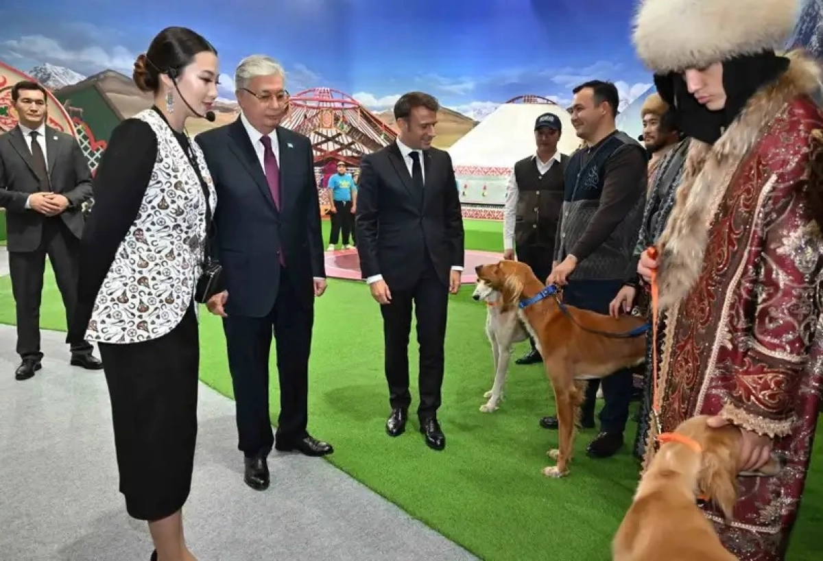 Фото: пресс-служба Акорды