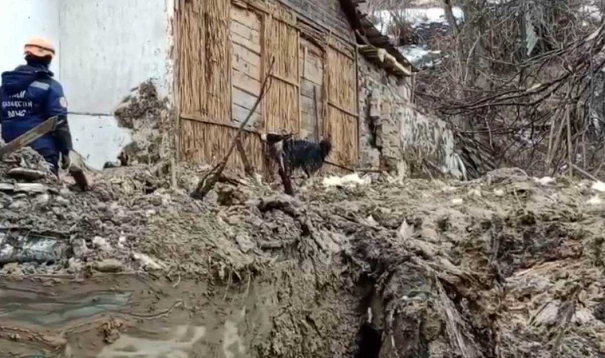 Фото: скриншот из видео ДЧС Алматы