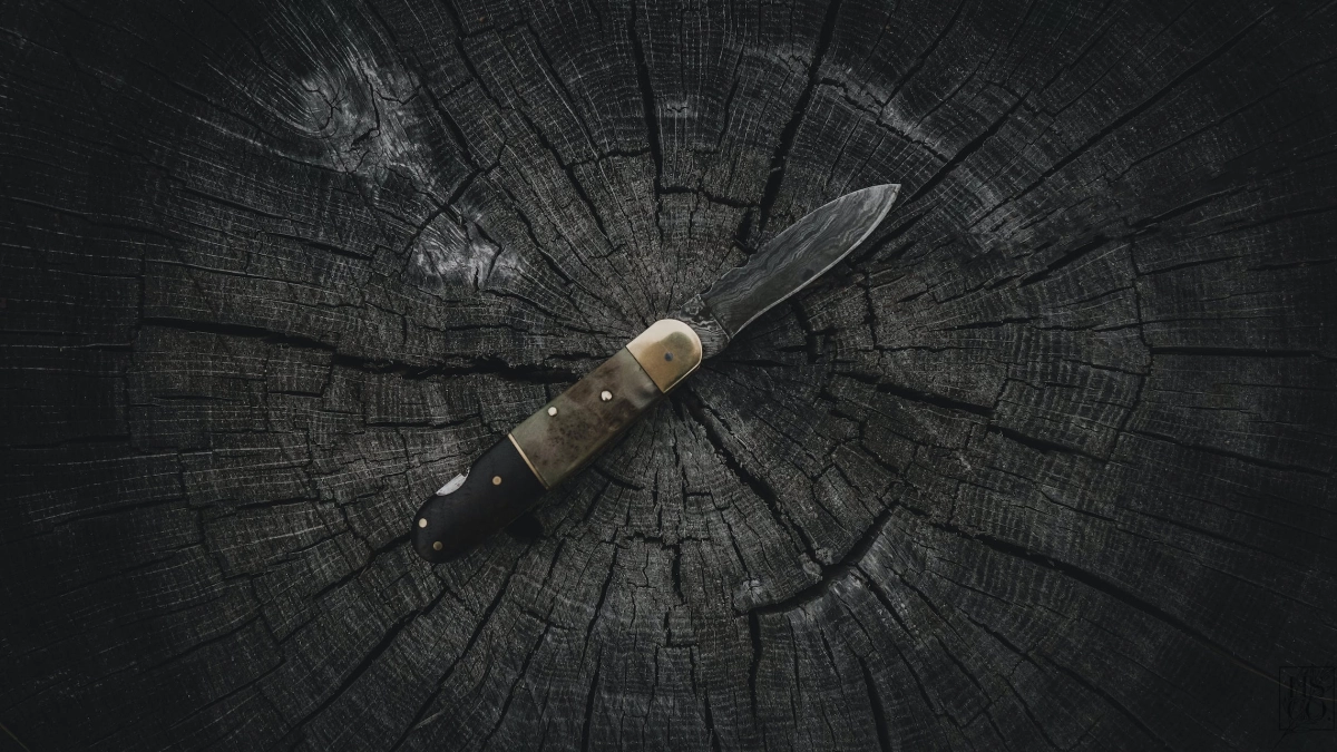 Фото: pexels.com