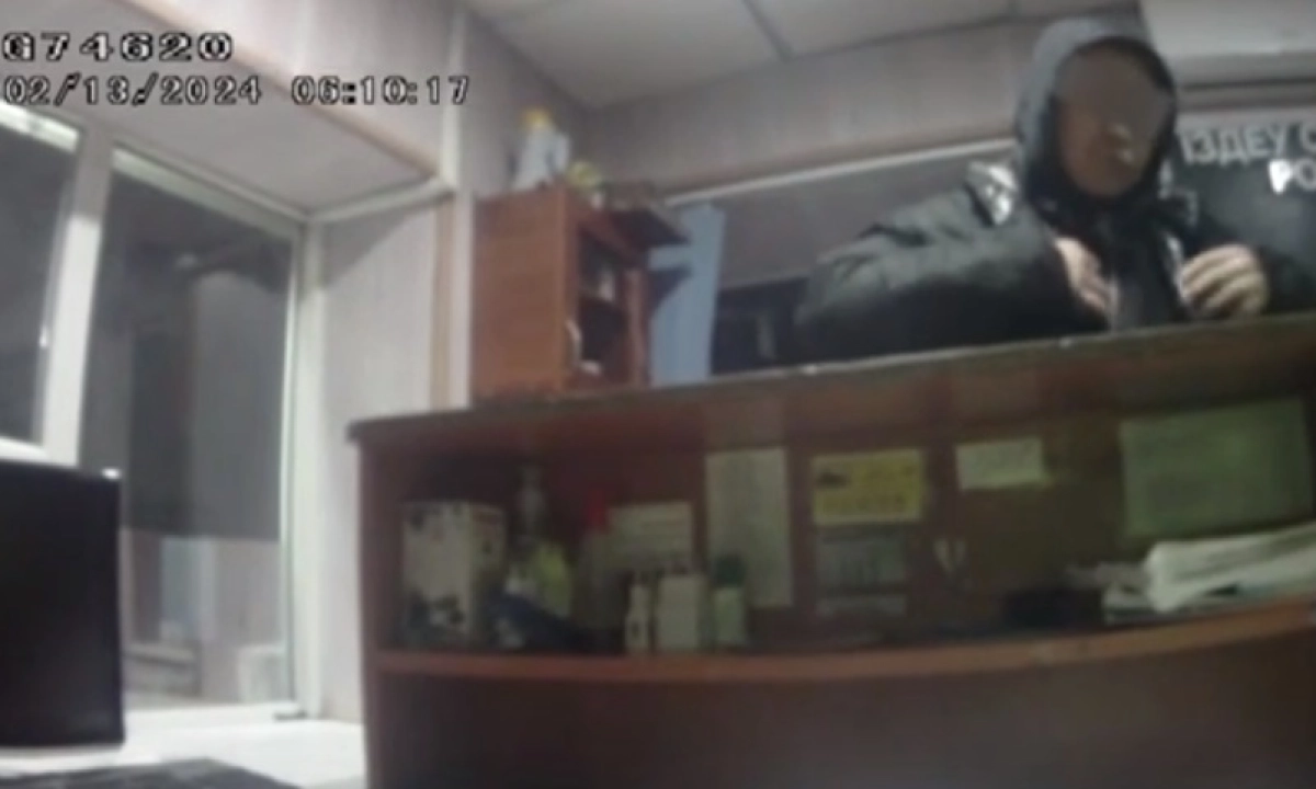 Фото: скриншот из видео