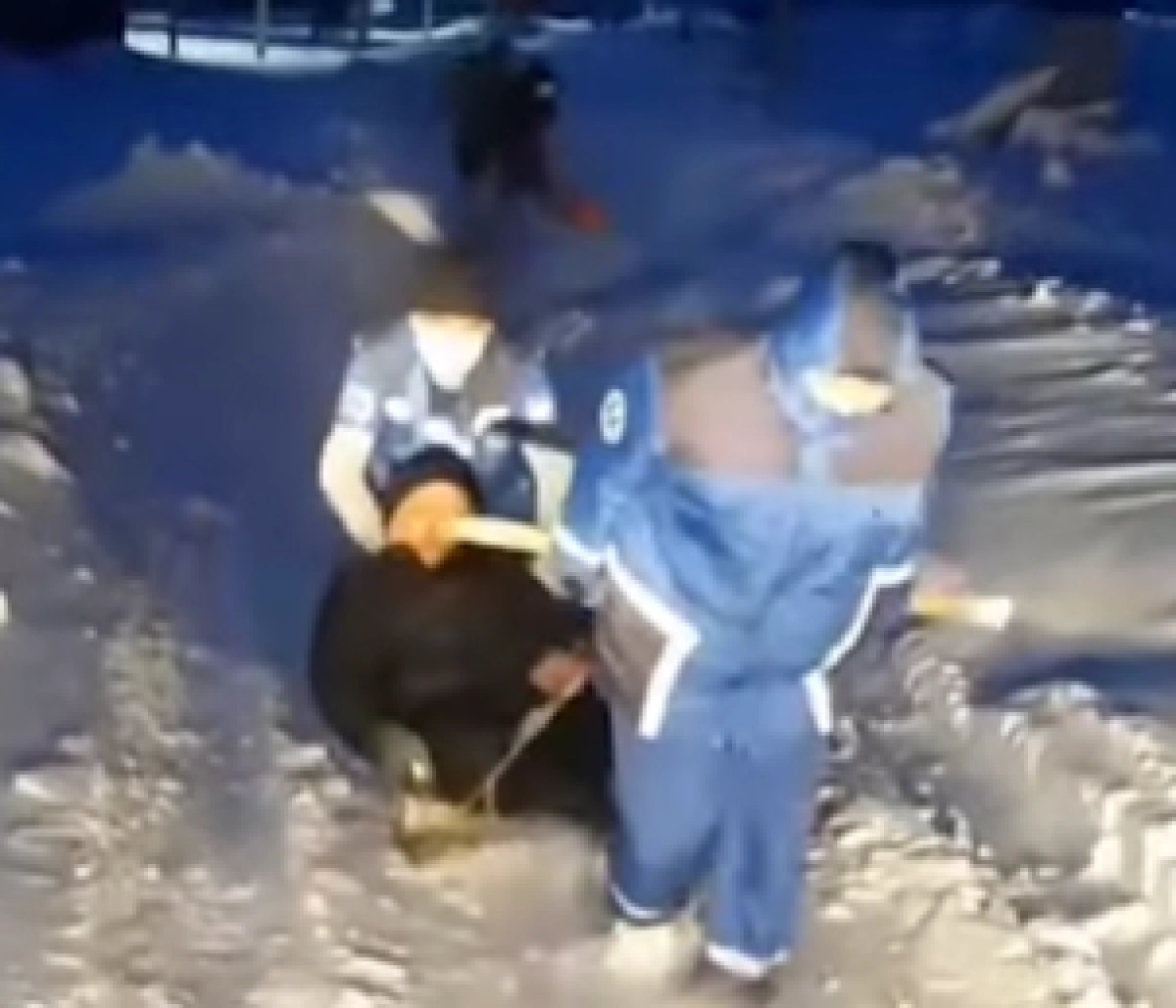 Кадр из видео