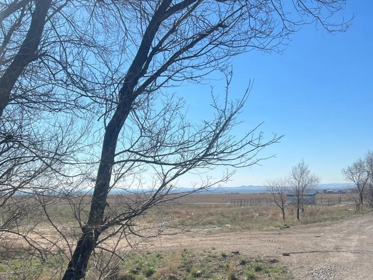 Фото Станислава Куликова