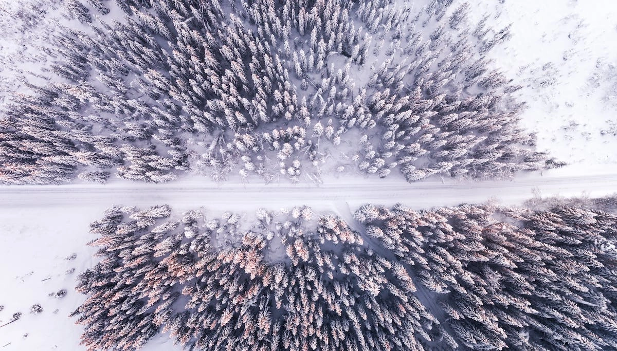 Фото: pexels.com