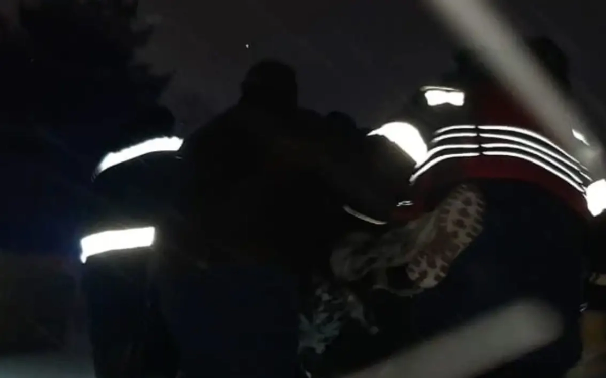 Фото: ДЧС ВКО