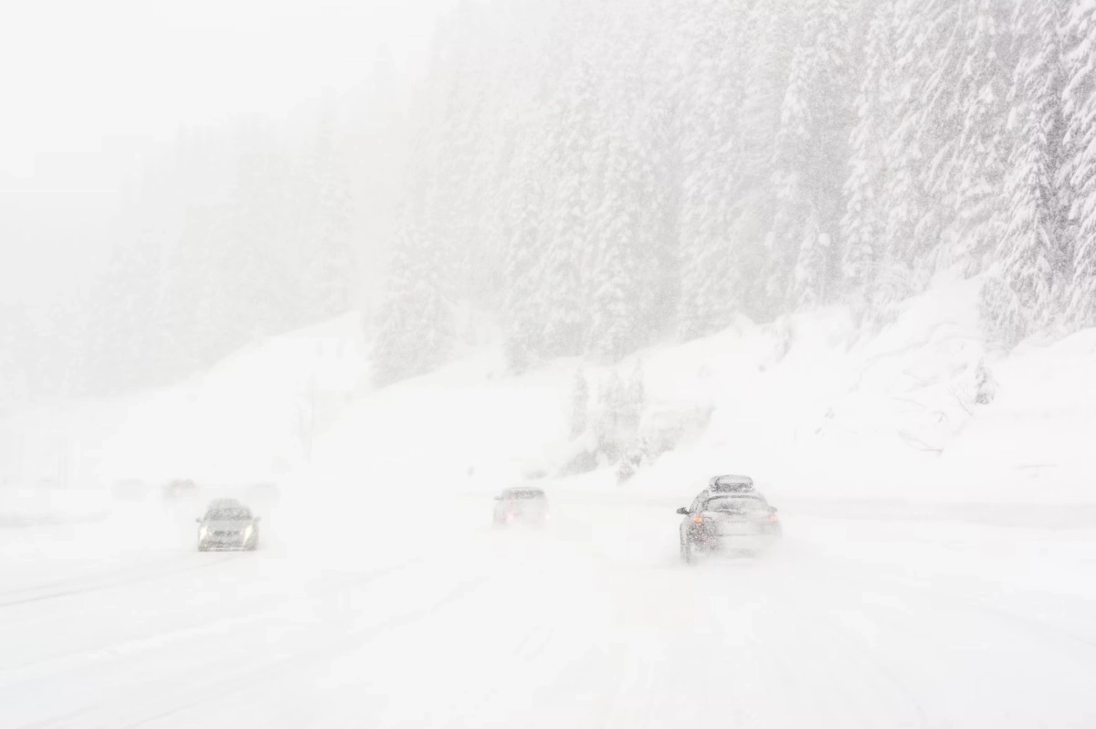 Фото: unsplash.com