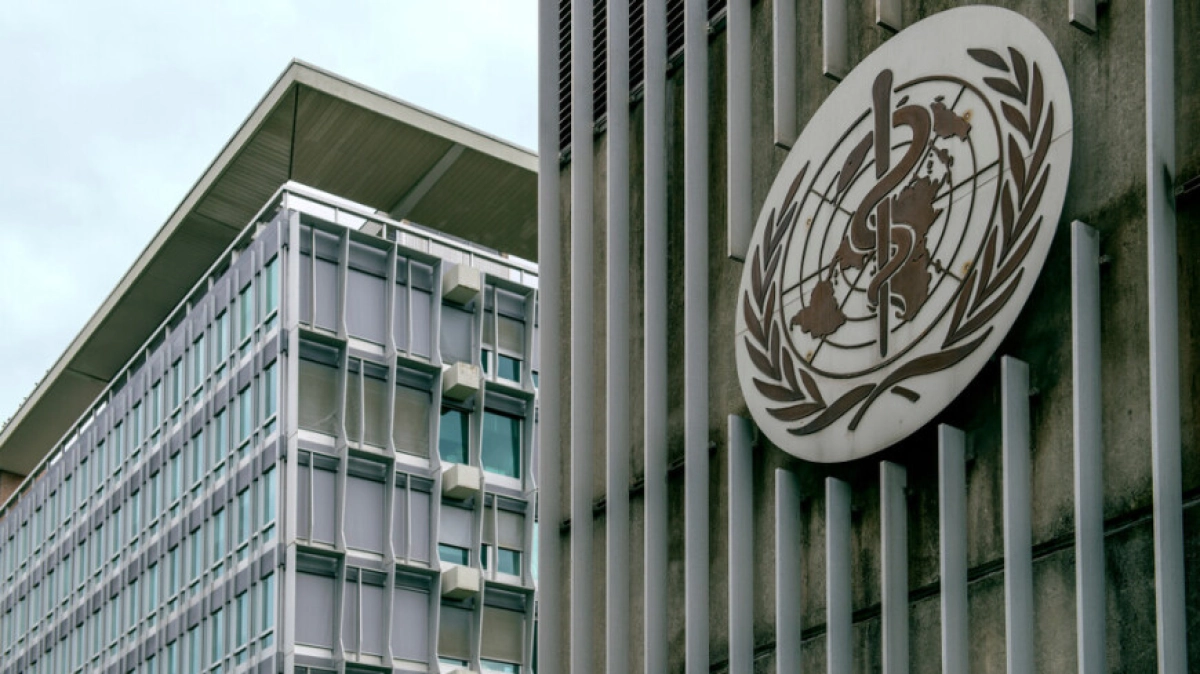 Фото: Shutterstock/FOTODOM