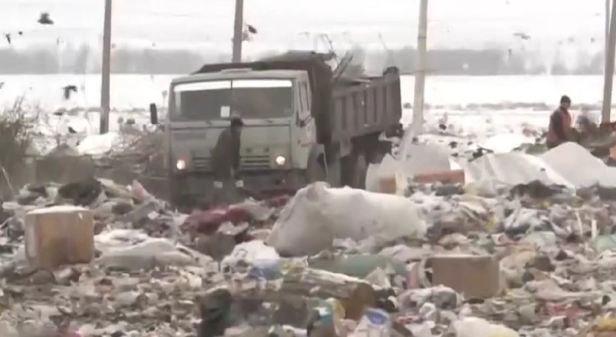 Фото: скриншот из видео