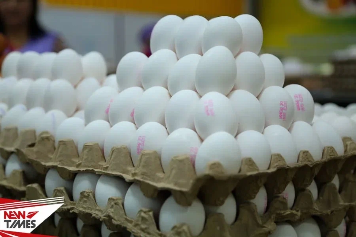 Фото: NewTimes.kz