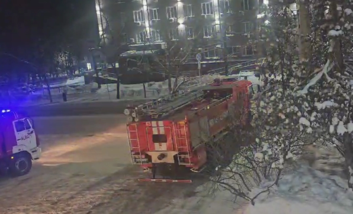 Фото: скриншот из видео ДЧС Алматы