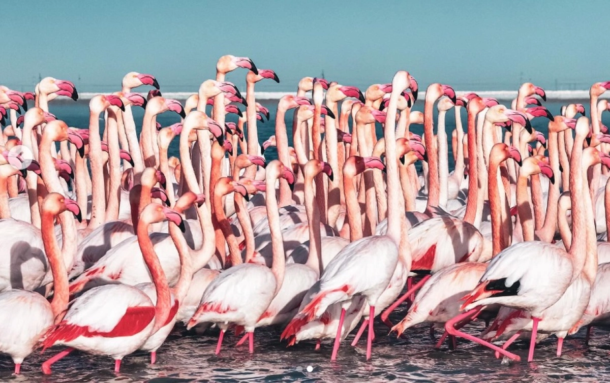 Фото: Instagram.com/@azamat_sarsenbayev