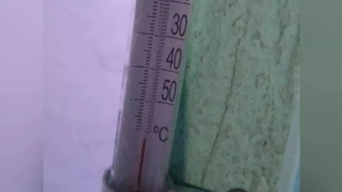 Фото: соцсети