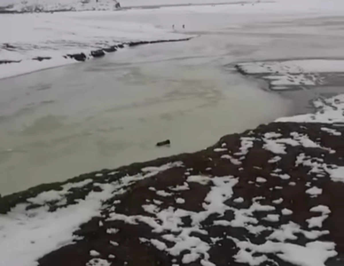 Кадр из видео
