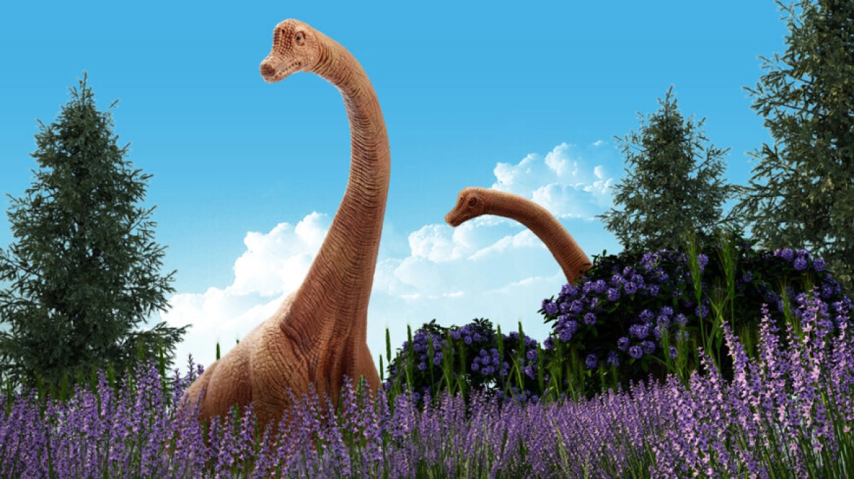 Фото : Shutterstock/FOTODOM