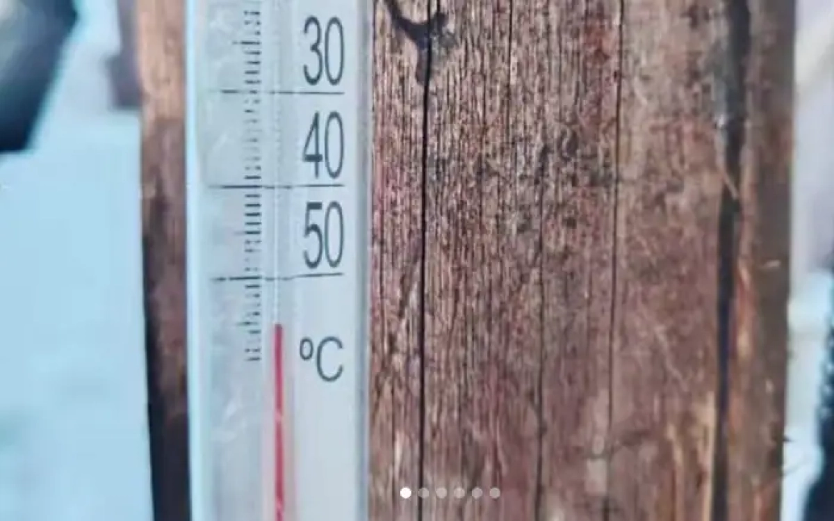 Фото: резерват «Семей орманы»