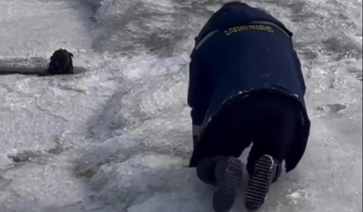 Фото: instagram.com/kris_p_almata