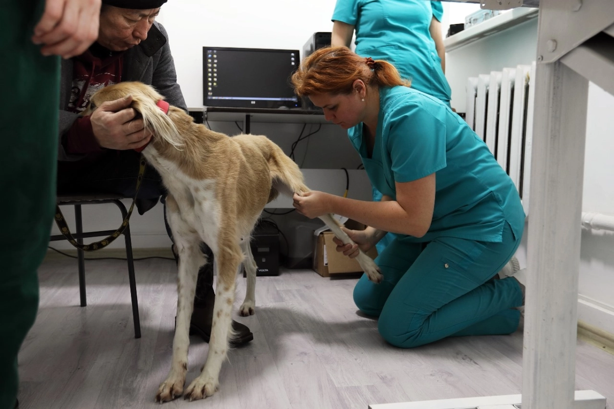 Союз кинологов Казахстана