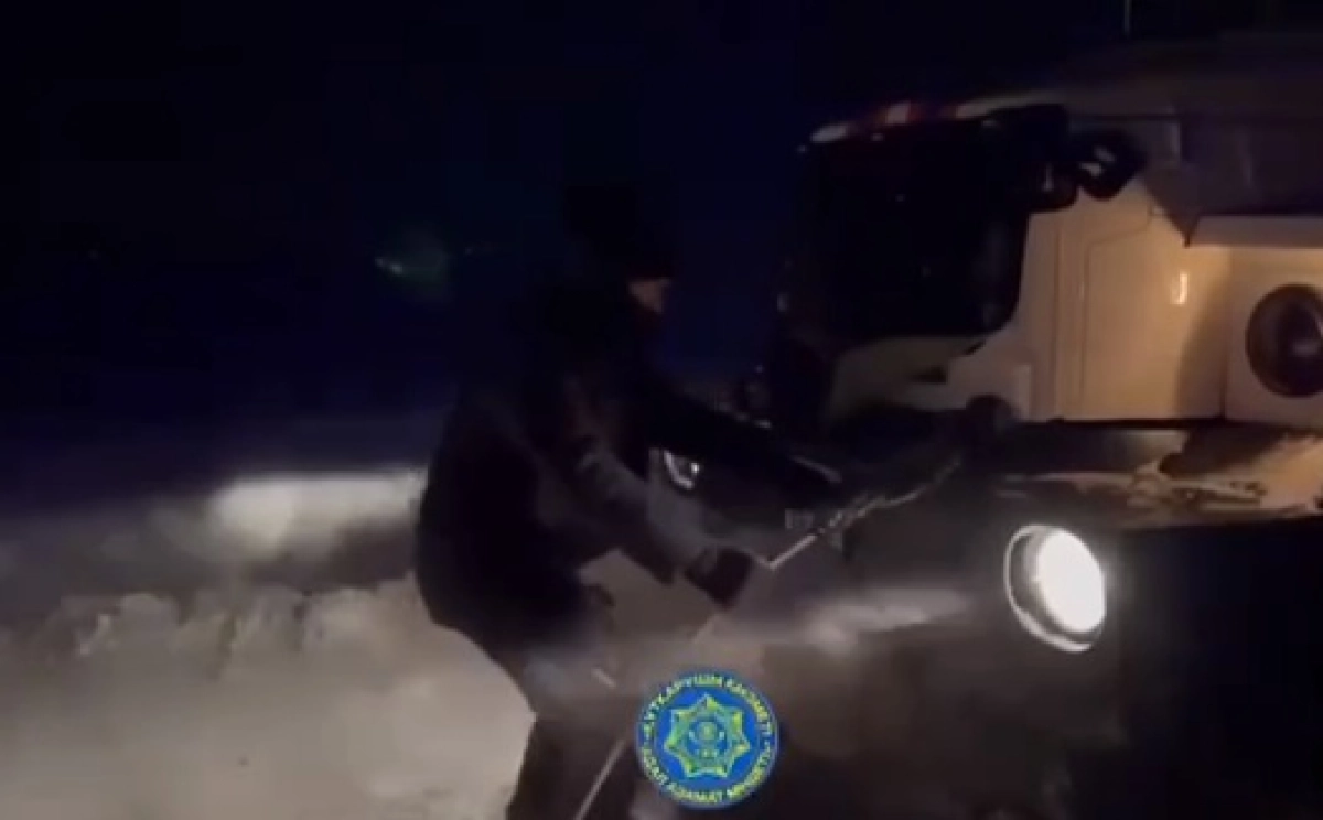 Фото: скриншот из видео