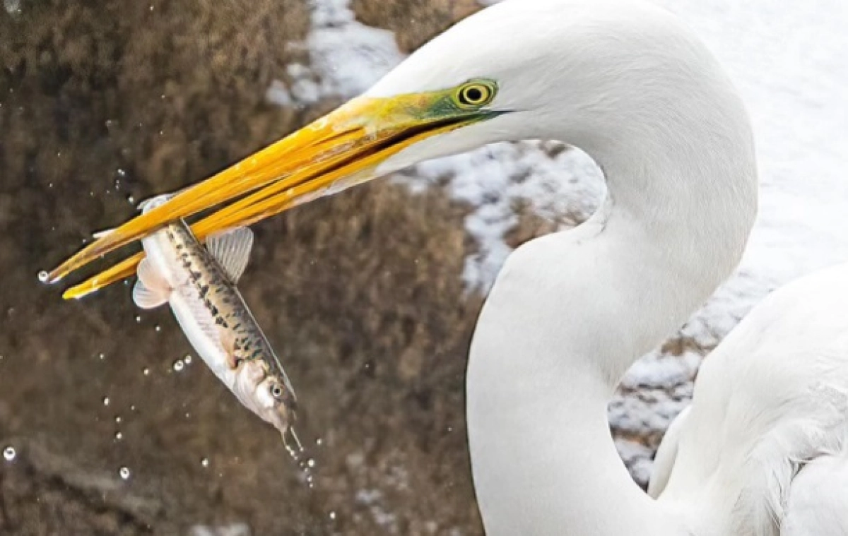 Фото: Instagram.com/@dots_foto