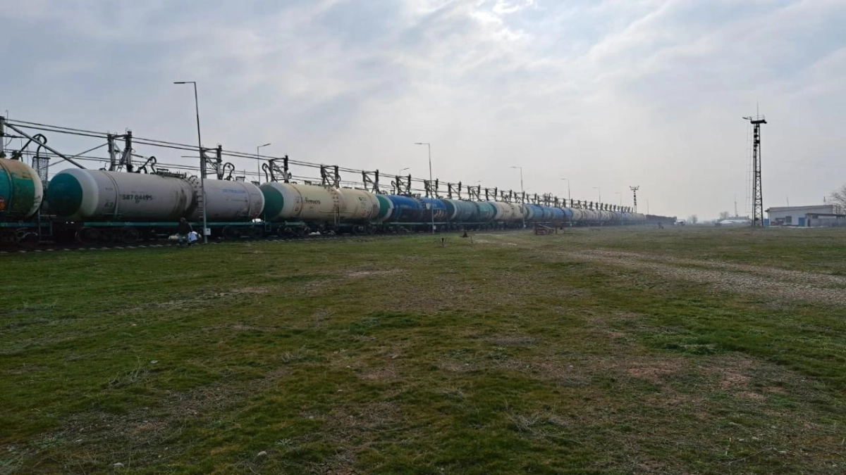 Фото:  Комитет по государственным материальным резервам