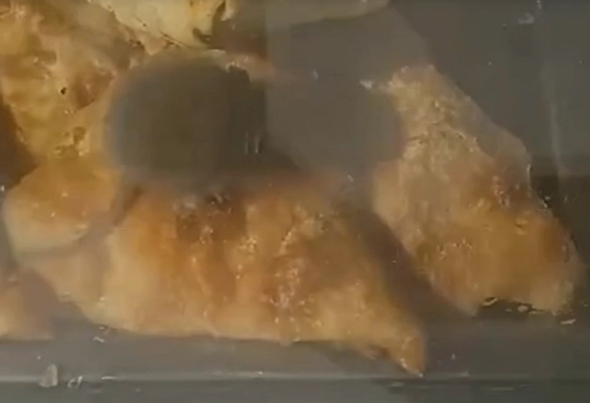 Кадр из видео/ КТК