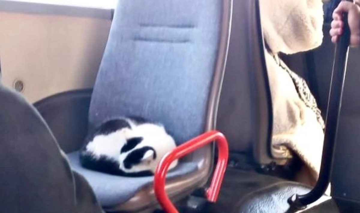 Фото: Instagram.com/@uralskgorod