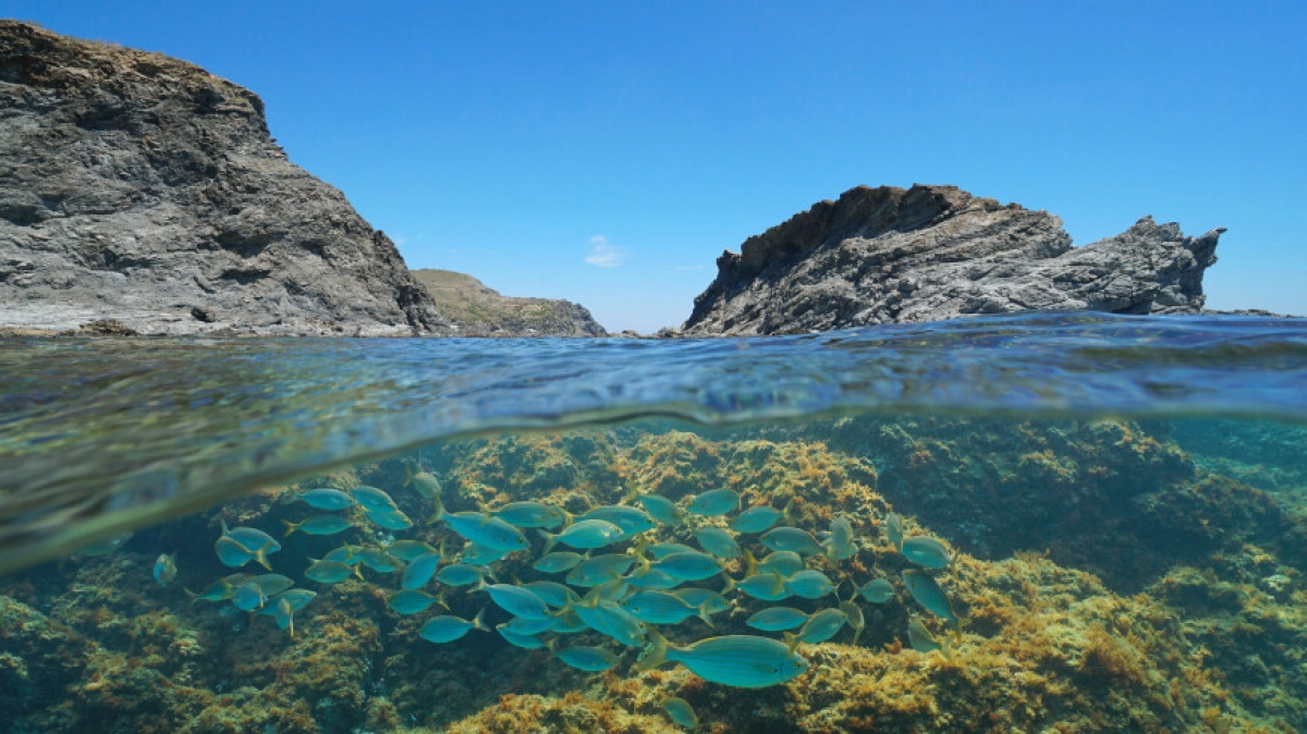 Фото: Shutterstock/FOTODOM