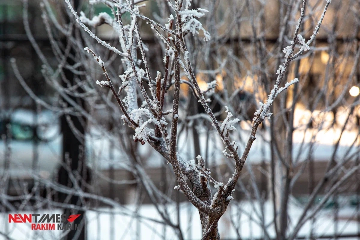 Фото: ИА «NewTimes.kz»
