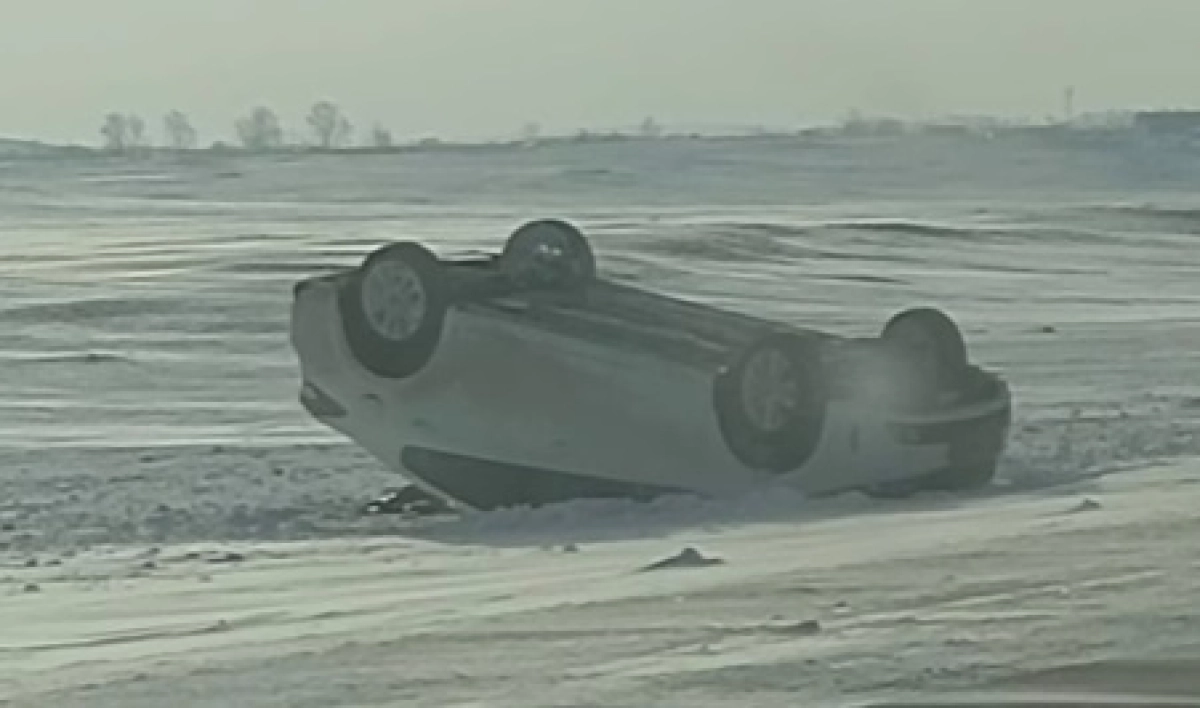 Фото: Instagram.com/@nayzakokshe