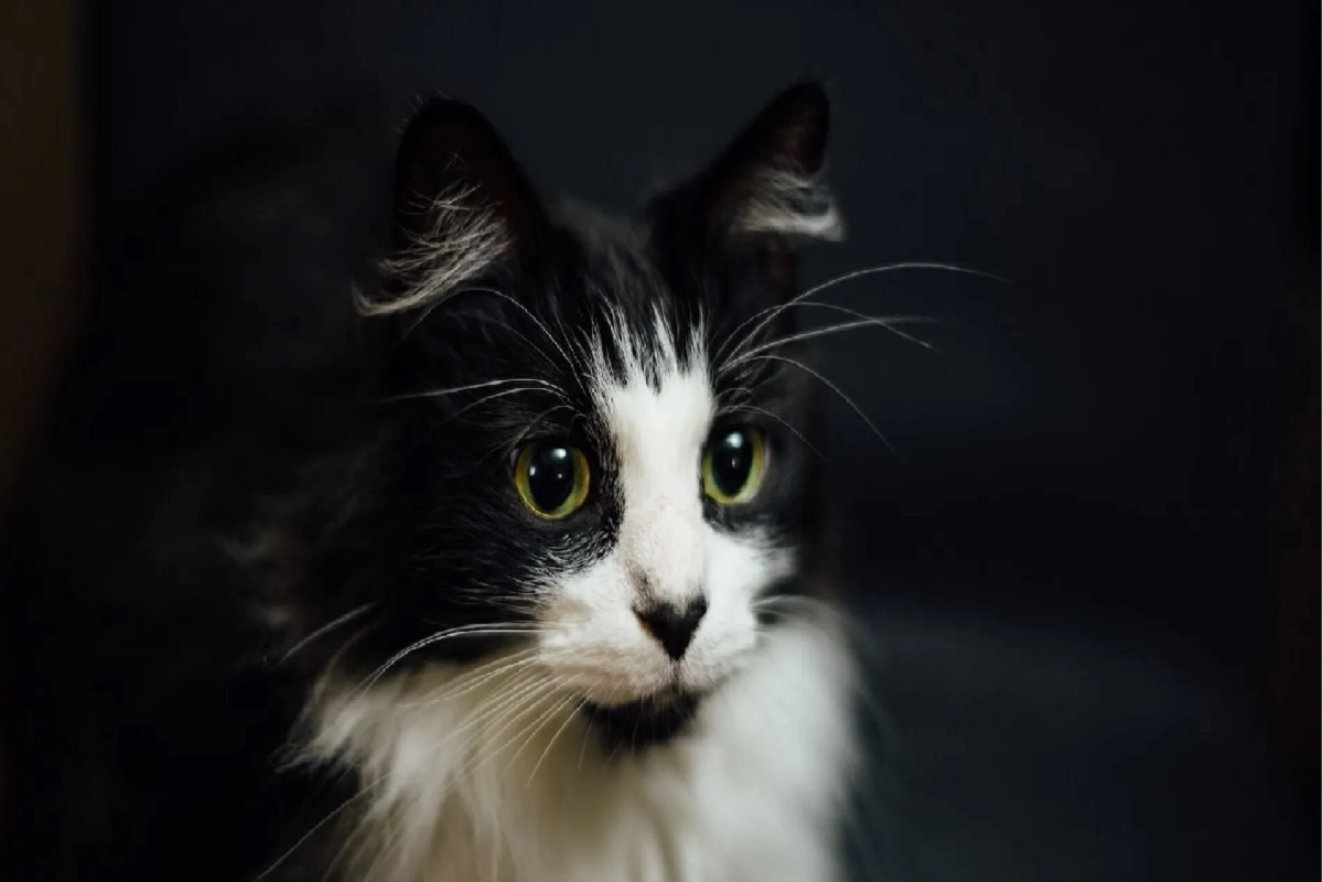 Фото: unsplash.com