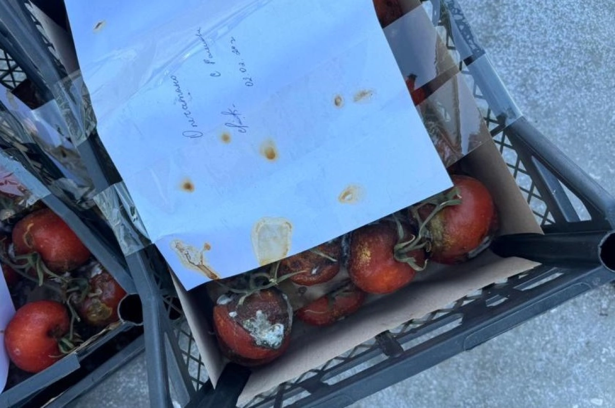 Фото: Уральская городская территориальная инспекция