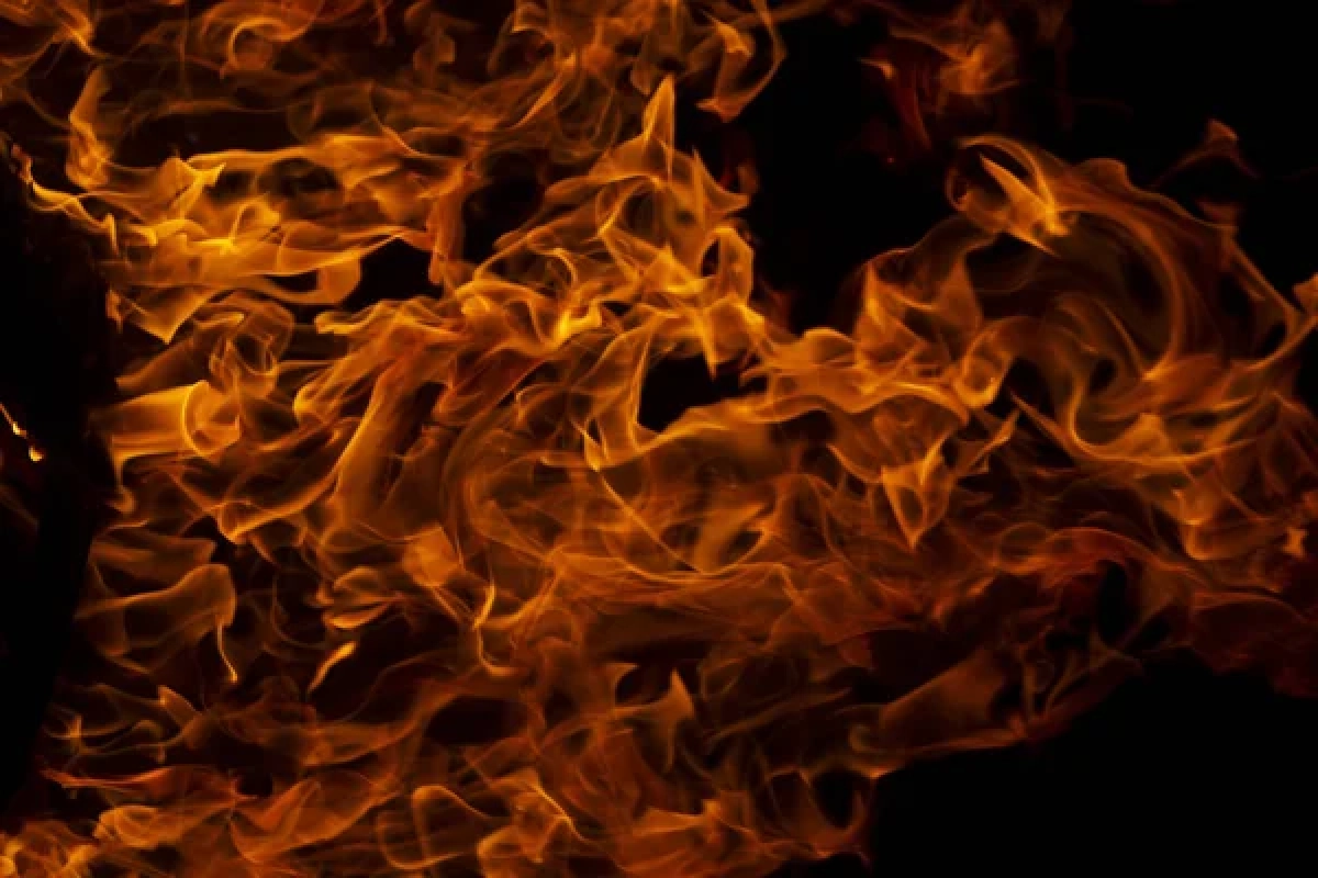 Фото: depositphotos.com