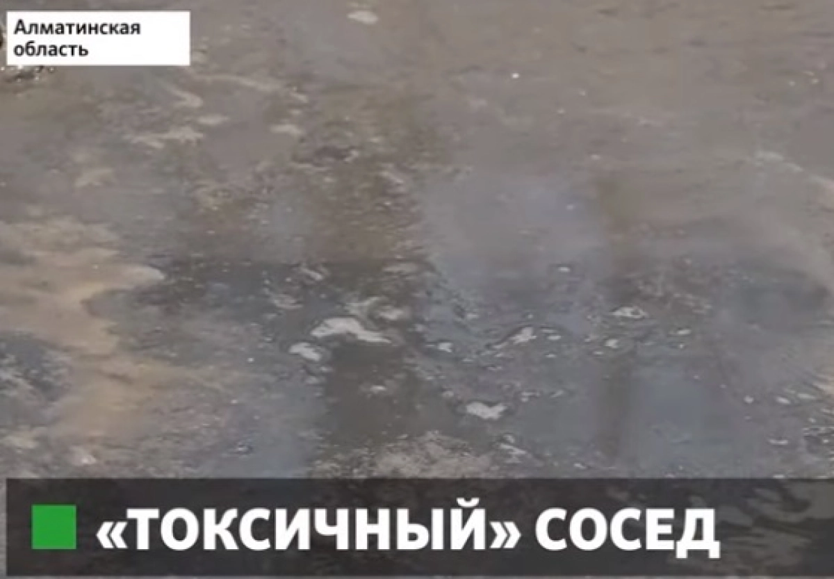 Фото: скриншот из видео