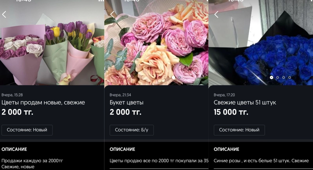 Фото: Olx, коллаж - NT